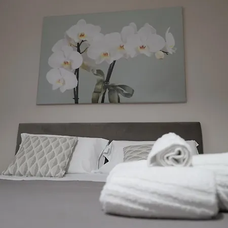 Colomba 3* Agrigento